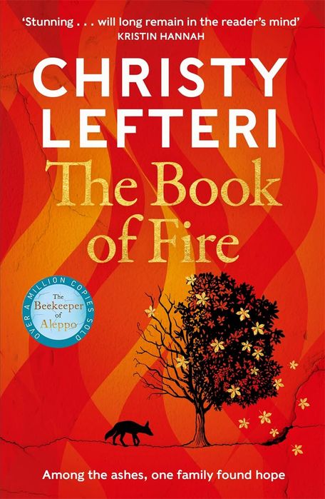 The Book of Fire (Paperback)