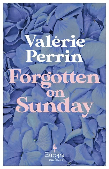 Forgotten on Sunday (Paperback)