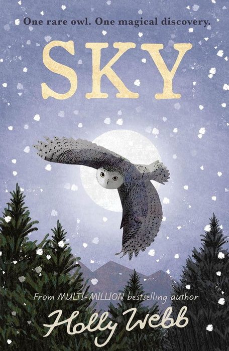 Winter Wildlife Stories: Sky (Paperback)