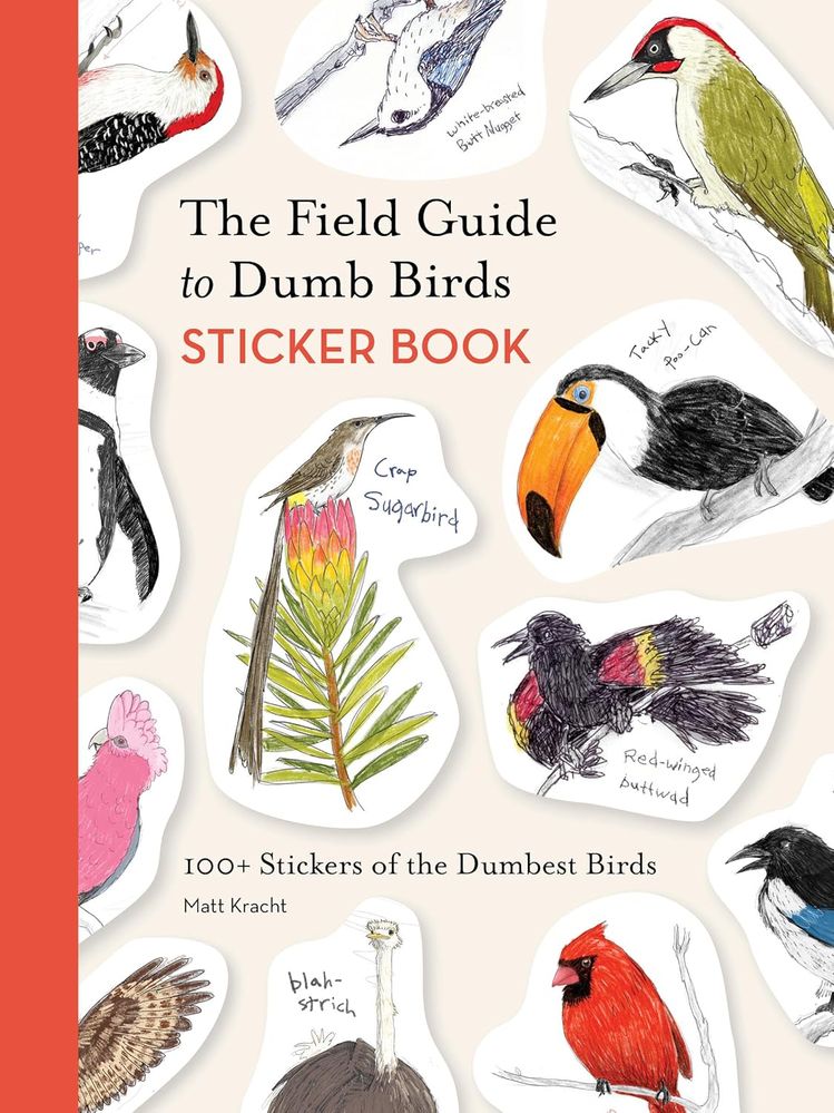The Field Guide To Dumb Birds Sticker Book (Paperback)