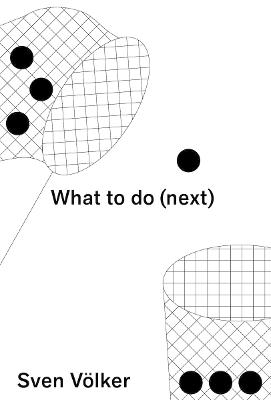 What To Do Next (Hardcover)