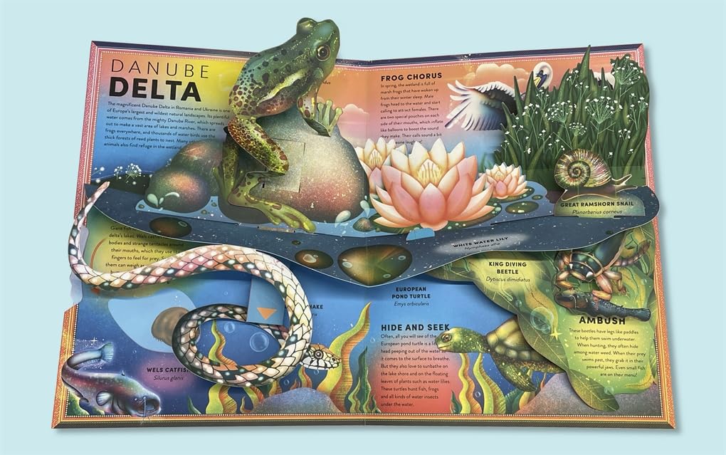 The Incredible Pop-up Frog: And other Wetland Creatures