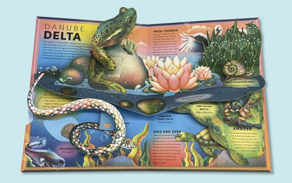 The Incredible Pop-up Frog: And other Wetland Creatures
