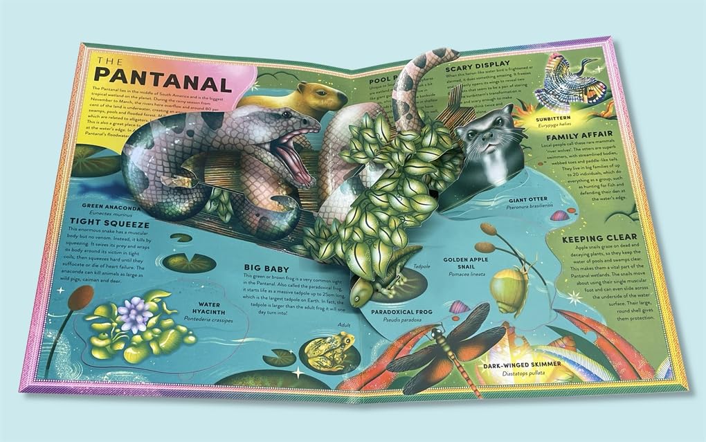 The Incredible Pop-up Frog: And other Wetland Creatures