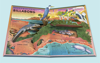 The Incredible Pop-up Frog: And other Wetland Creatures