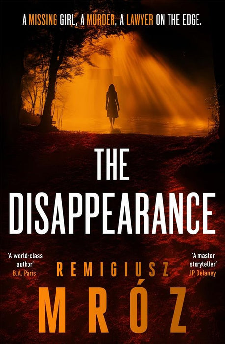 The Disappearance (Paperback)