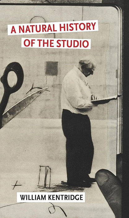 A Natural History of the Studio (Trade Paperback)