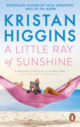 A Little Ray Of Sunshine (Paperback)