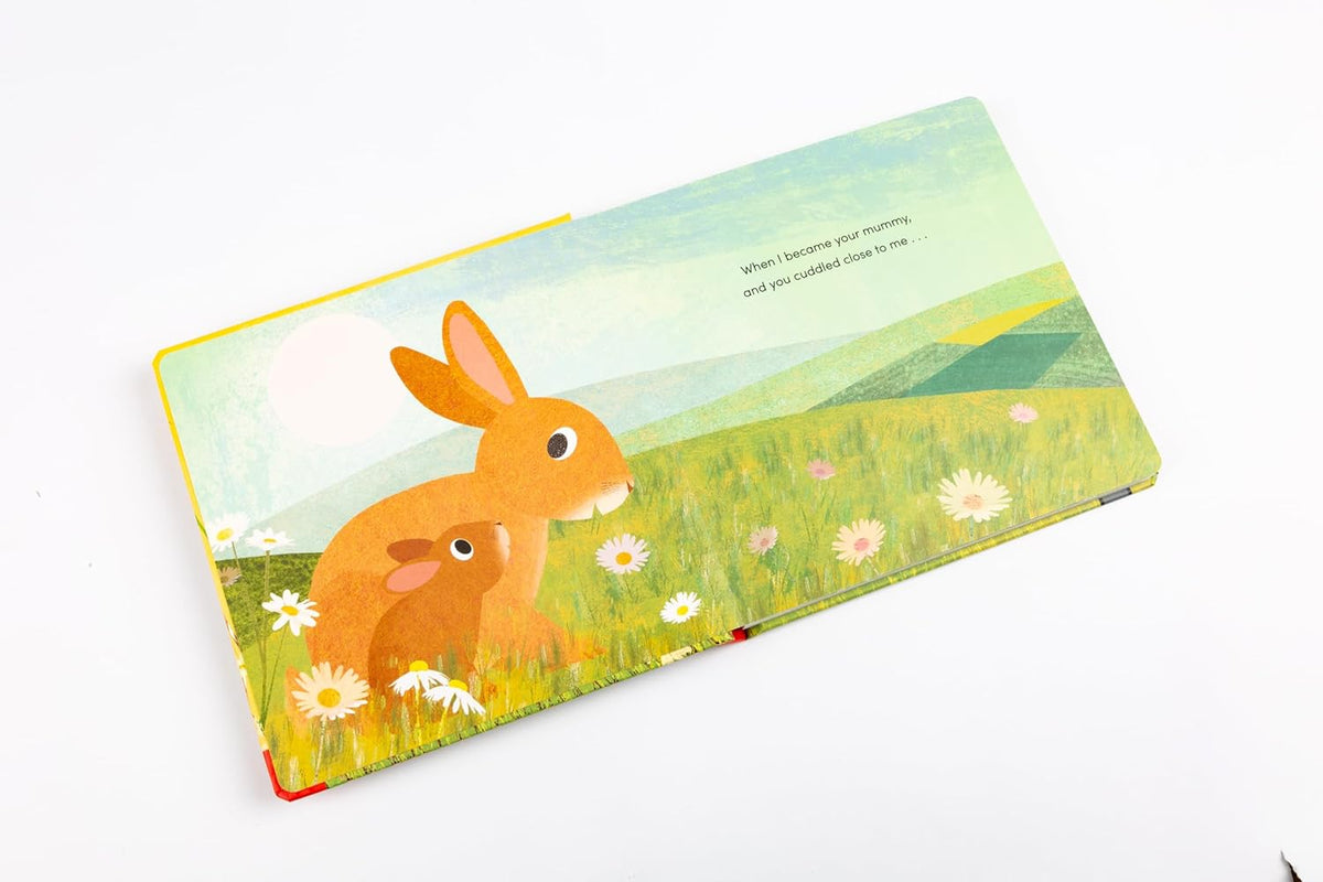 When I Became Your Mummy (Board Book)