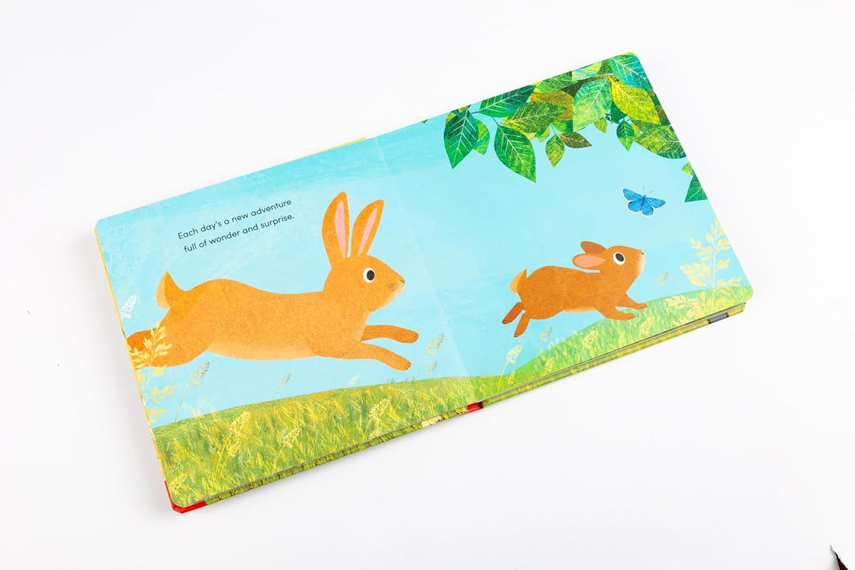 When I Became Your Mummy (Board Book)