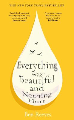Everything Was Beautiful & Nothing Hurt