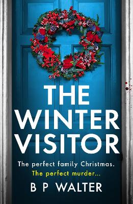 Winter Visitor (Paperback)
