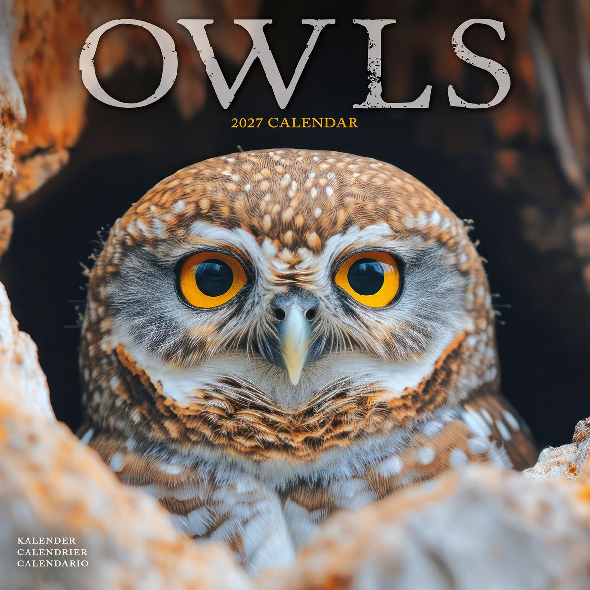 2027 Owls Calendar