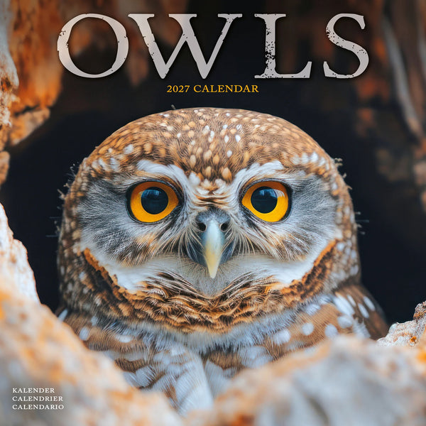 2027 Owls Calendar