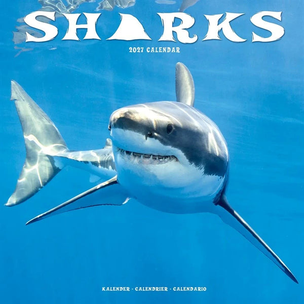 2027 Sharks Calendar