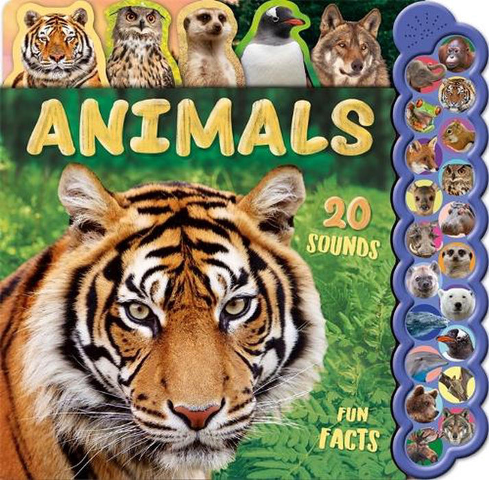 Animals: Sound Book (Hardcover)
