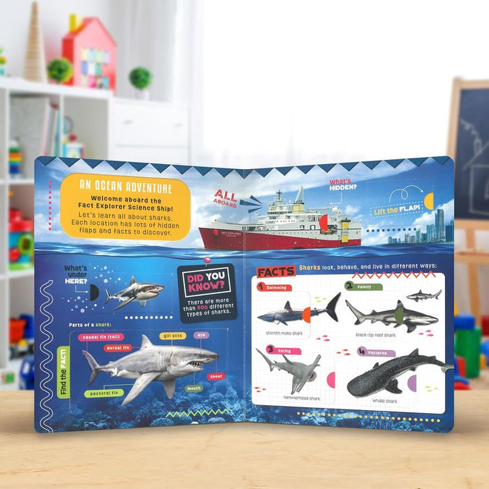 Fact Explorer: Sharks (Board Book)