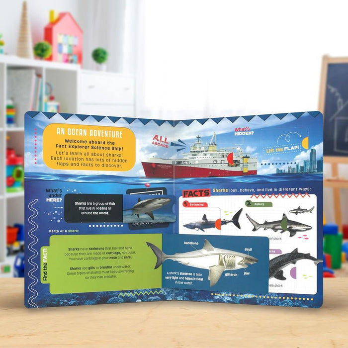 Fact Explorer: Sharks (Board Book)