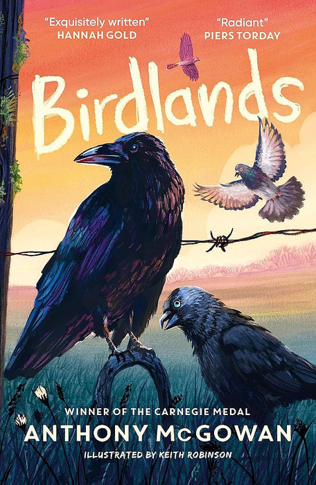 Birdlands (Paperback)