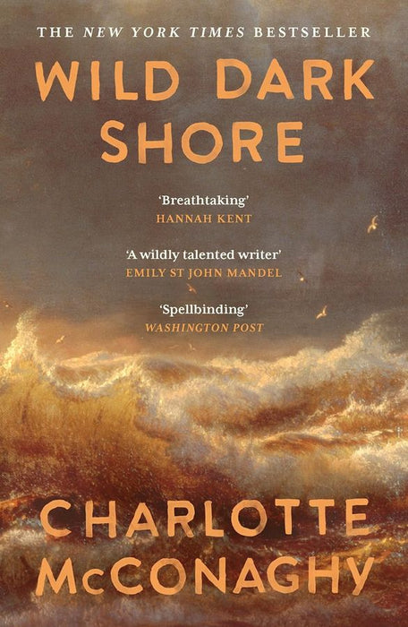 Wild Dark Shore (Paperback)