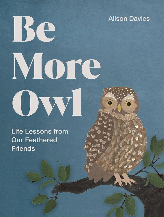 Be More Owl (Hardcover)
