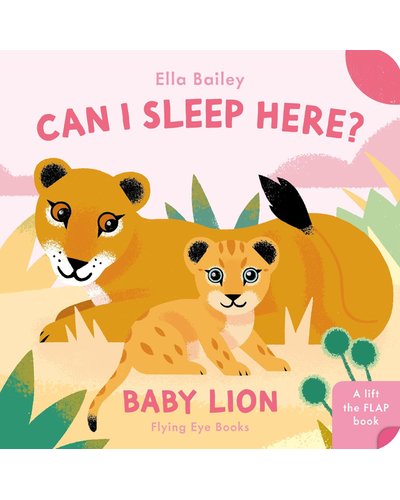 Can I Sleep Here? Baby Lion (Board book)