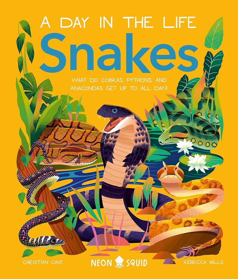 A Day in the Life: Snakes (Hardcover)