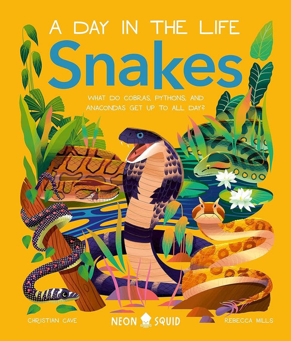 A Day in the Life: Snakes (Hardcover)