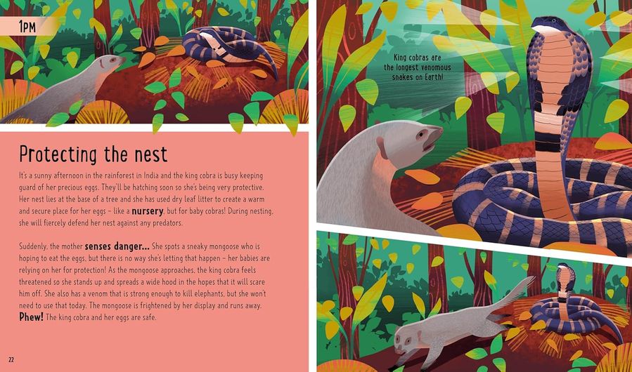 A Day in the Life: Snakes (Hardcover)