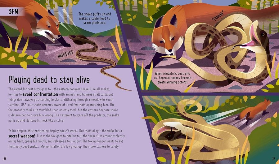 A Day in the Life: Snakes (Hardcover)