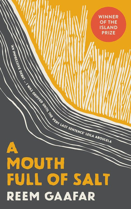 A Mouth Full Of Salt (Paperback)
