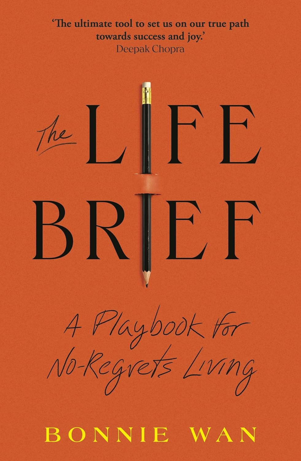 The Life Brief (Trade Paperback)