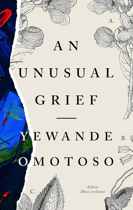 An Unusual Grief (Trade Paperback)