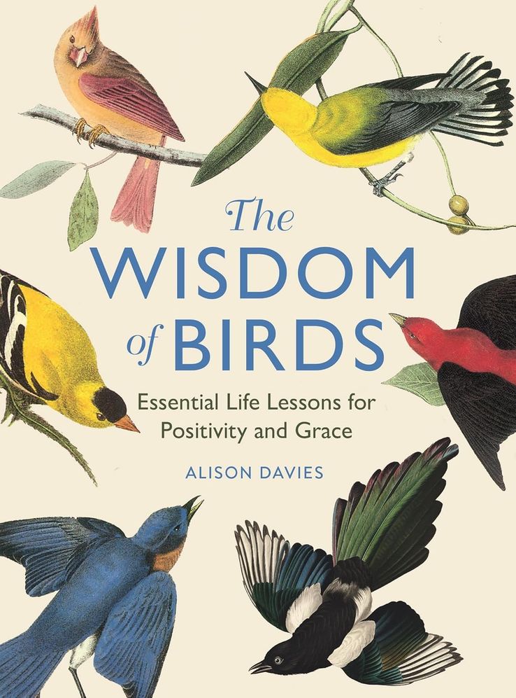 The Wisdom Of Birds (Hardcover)