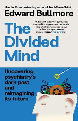 Divided Mind (Paperback)