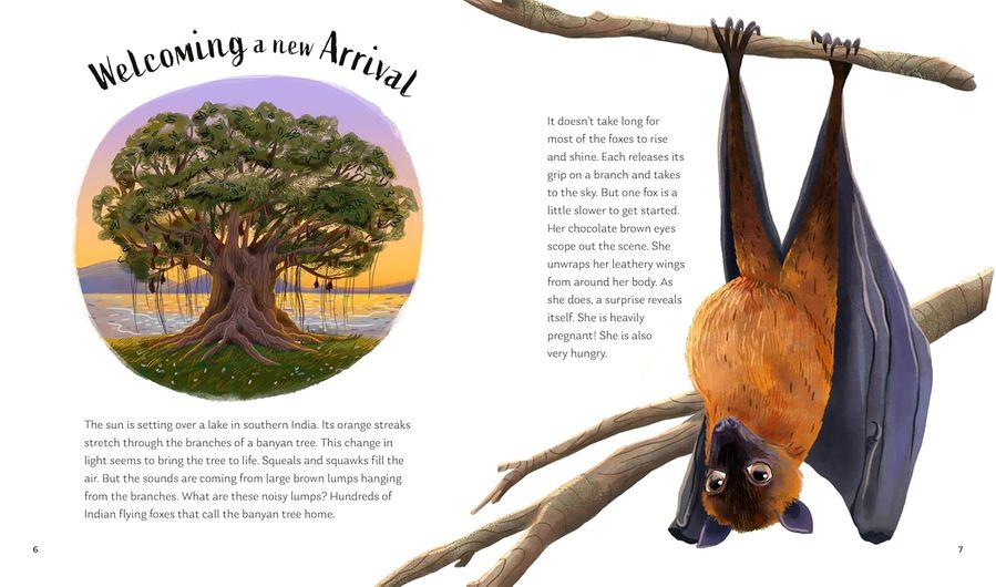 Secrets Of The Stars (Hardcover)