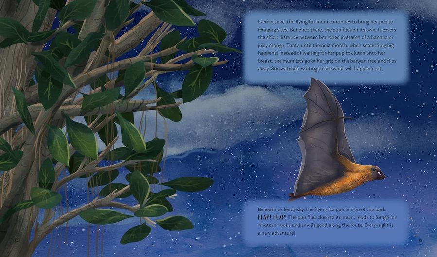 Secrets Of The Stars (Hardcover)