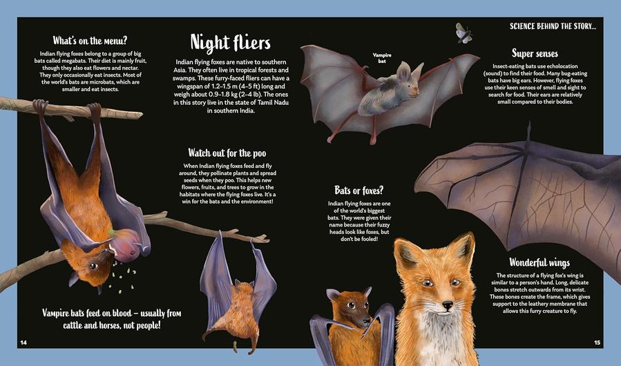 Secrets Of The Stars (Hardcover)