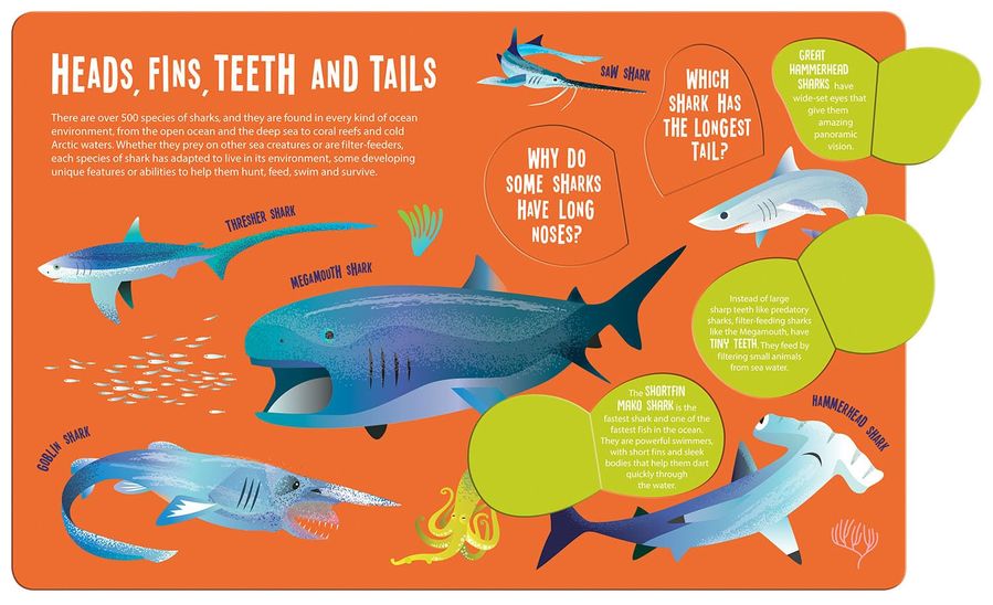 Magic Searchlight Sharks (Hardcover)