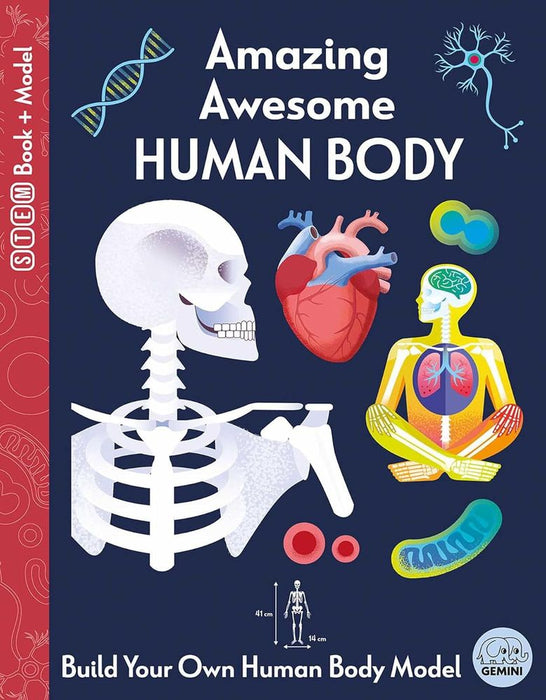 Amazing Awesome Human Body: Ignite STEM Book + Model Kit (Hardcover)