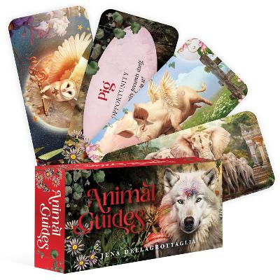 Animal Guides Cards