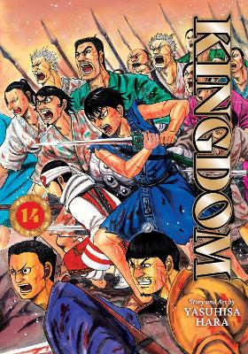 Kingdom Vol 14