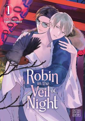 Robin in the Veil of Night Vol 1