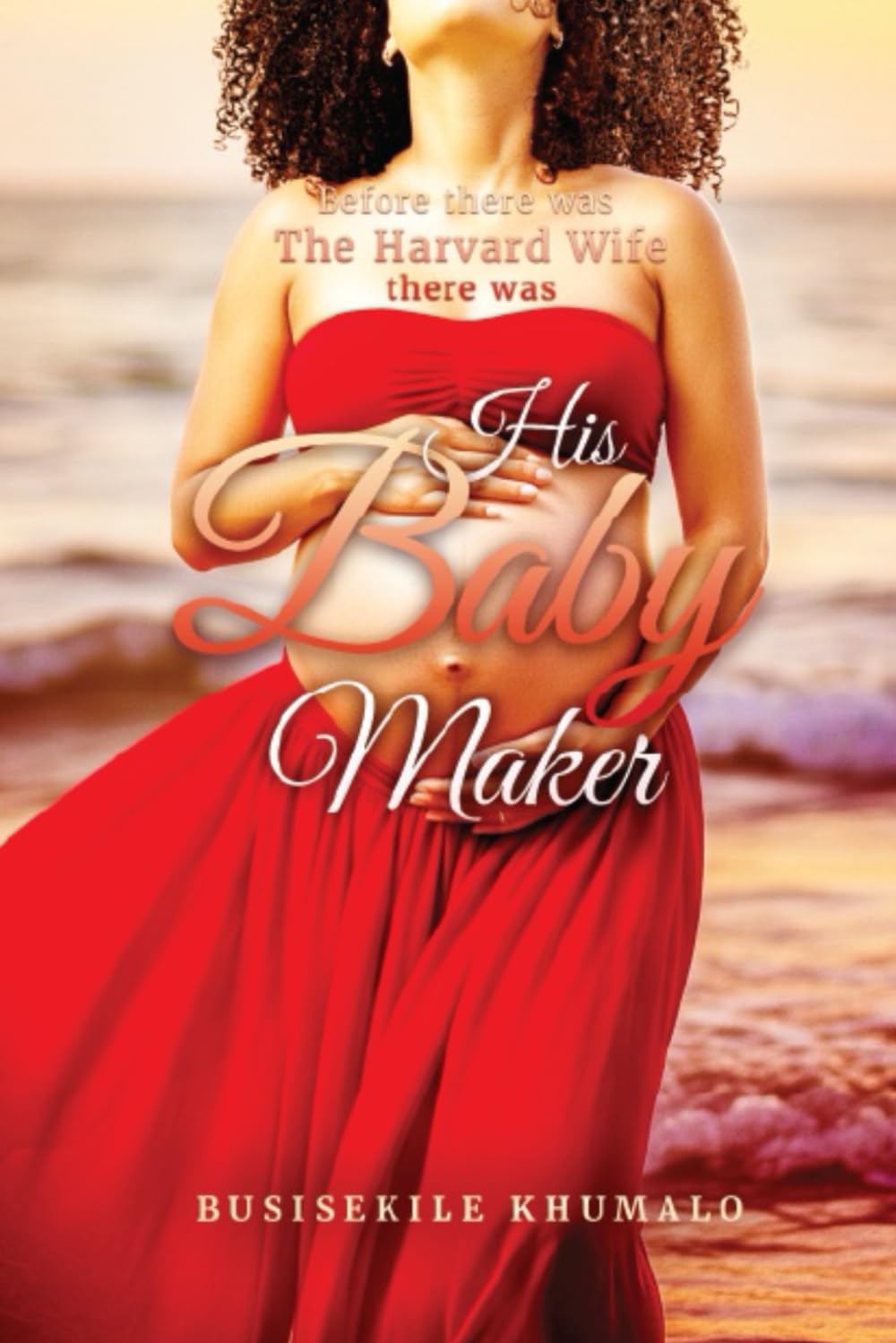 His Baby Maker (Paperback)