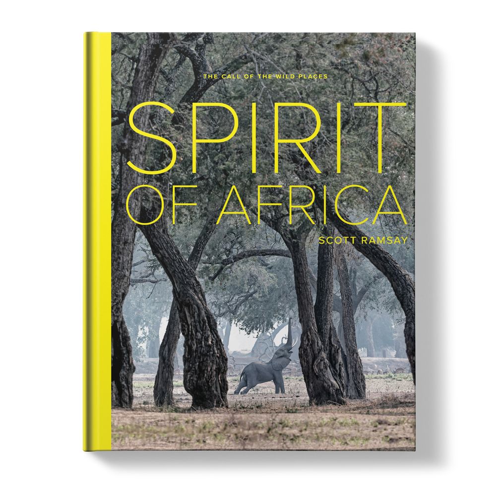 Spirit of Africa: The Call of the Wild Places (Hardcover)