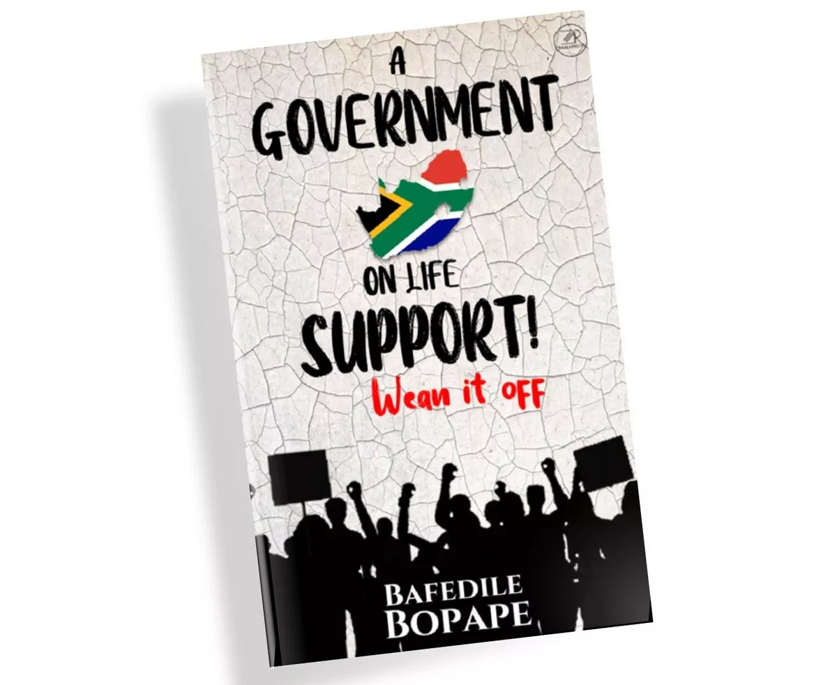 A Government on Life Support (Paperback)
