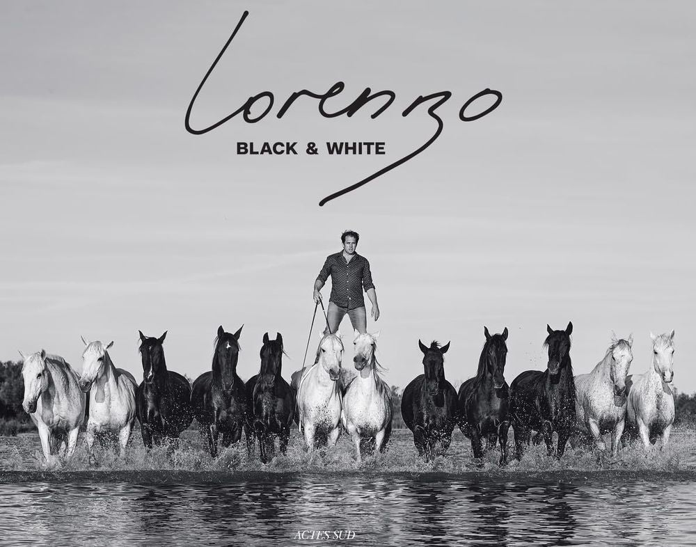 Lorenzo: Black and White (Hardcover)