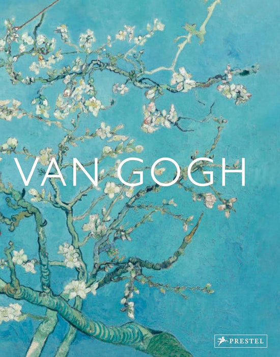 Van Gogh: The Bigger Picture (Hardcover)
