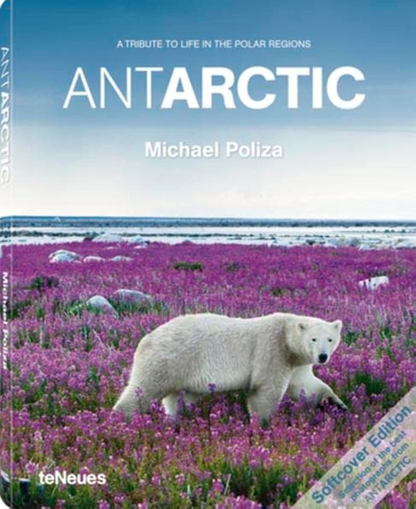 Michael Poliza Antarctic