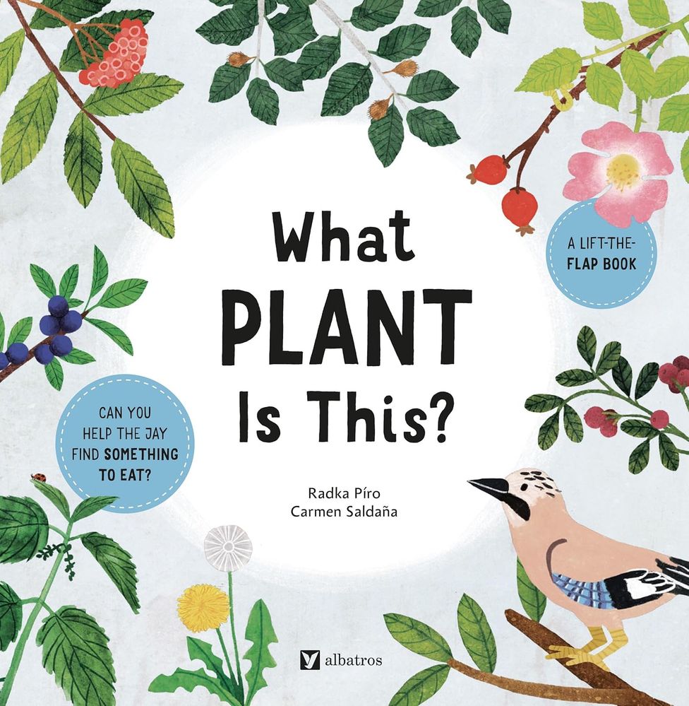 What Plant Is This? (Boardbook)